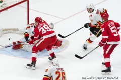 Red Wings vs Flames Nov 15 2017 (14)