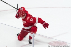 Red Wings vs Flames Nov 15 2017 (15)