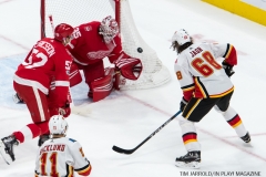 Red Wings vs Flames Nov 15 2017 (17)