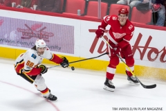 Red Wings vs Flames Nov 15 2017 (18)