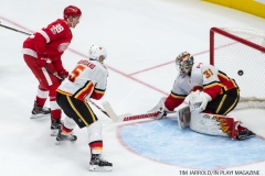 Red Wings vs Flames Nov 15 2017 (19)