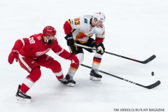 Red Wings vs Flames Nov 15 2017 (20)