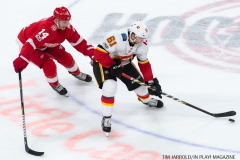 Red Wings vs Flames Nov 15 2017 (24)