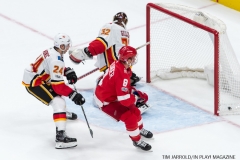 Red Wings vs Flames Nov 15 2017 (27)