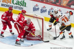 Red Wings vs Flames Nov 15 2017 (3)
