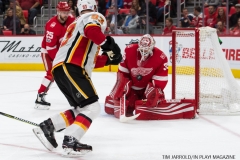 Red Wings vs Flames Nov 15 2017 (31)