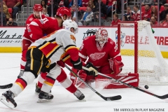 Red Wings vs Flames Nov 15 2017 (32)