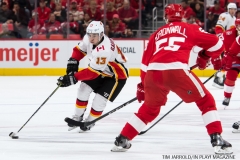 Red Wings vs Flames Nov 15 2017 (33)