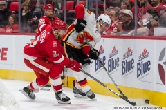 Red Wings vs Flames Nov 15 2017 (34)