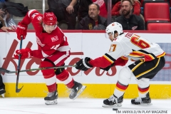 Red Wings vs Flames Nov 15 2017 (40)