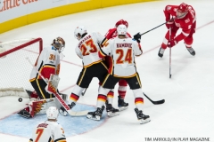 Red Wings vs Flames Nov 15 2017 (6)
