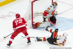 Red Wings vs Flames Nov 15 2017 (7)