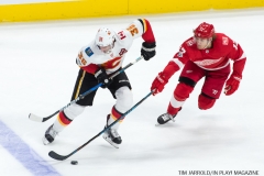Red Wings vs Flames Nov 15 2017 (8)
