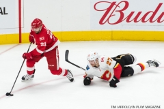 Red Wings vs Flames Nov 15 2017 (9)