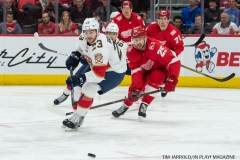 Red Wings vs Florida January 5 2018 (1)