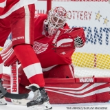 Red Wings vs Florida January 5 2018 (10)