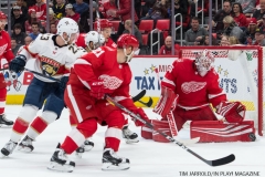 Red Wings vs Florida January 5 2018 (11)