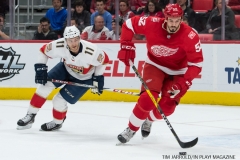 Red Wings vs Florida January 5 2018 (12)