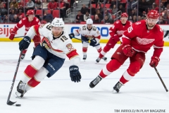 Red Wings vs Florida January 5 2018 (18)