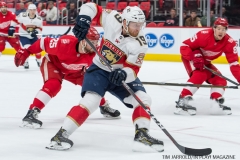 Red Wings vs Florida January 5 2018 (19)