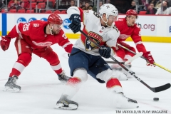 Red Wings vs Florida January 5 2018 (20)