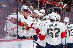 Red Wings vs Florida January 5 2018 (22)