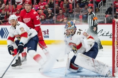 Red Wings vs Florida January 5 2018 (23)