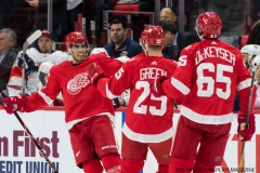 Red Wings vs Florida January 5 2018 (3)