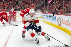 Red Wings vs Florida January 5 2018 (30)