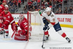 Red Wings vs Florida January 5 2018 (32)