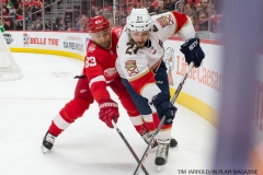 Red Wings vs Florida January 5 2018 (33)