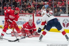 Red Wings vs Florida January 5 2018 (7)