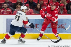Red Wings vs Florida January 5 2018 (8)