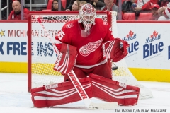 Red Wings vs Florida January 5 2018 (9)