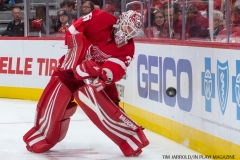 Red Wings vs Leafs Sept 30 (12)