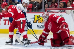 Red Wings vs Leafs Sept 30 (16)