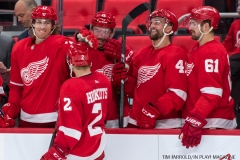 Red Wings vs Leafs Sept 30 (34)