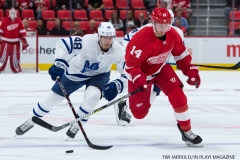Red Wings vs Leafs Sept 30 (8)