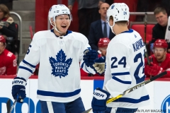 Red WIngs vs Leafs Dec 15 2017 (1)