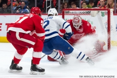 Red WIngs vs Leafs Dec 15 2017 (12)