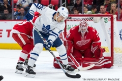Red WIngs vs Leafs Dec 15 2017 (13)