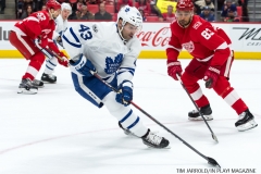 Red WIngs vs Leafs Dec 15 2017 (15)