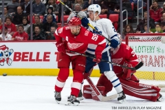 Red WIngs vs Leafs Dec 15 2017 (17)