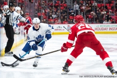 Red WIngs vs Leafs Dec 15 2017 (18)