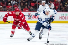 Red WIngs vs Leafs Dec 15 2017 (19)