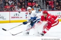 Red WIngs vs Leafs Dec 15 2017 (20)