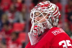 Red WIngs vs Leafs Dec 15 2017 (23)