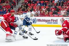 Red WIngs vs Leafs Dec 15 2017 (24)