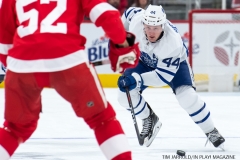 Red WIngs vs Leafs Dec 15 2017 (27)