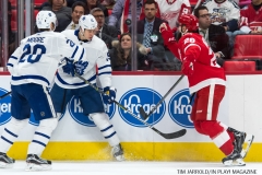 Red WIngs vs Leafs Dec 15 2017 (3)